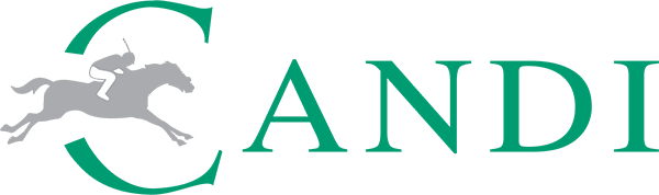 PT Candi Cipta Paramuda - Cetak spanduk kain I Cetak banner I Digital Printing I Spanduk Partai I Produksi Payung Promosi